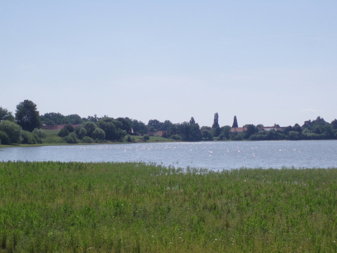 Pohled na Vlhlavský rybník